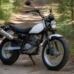 125 van van occasion : comment choisir le modèle idéal au meilleur prix